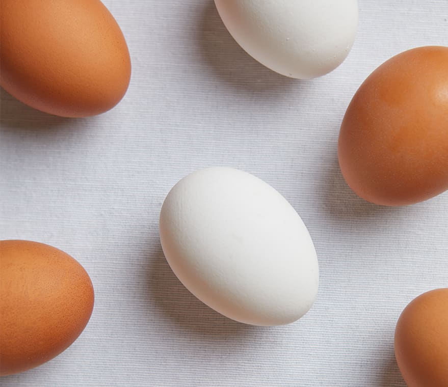 brown and white eggs