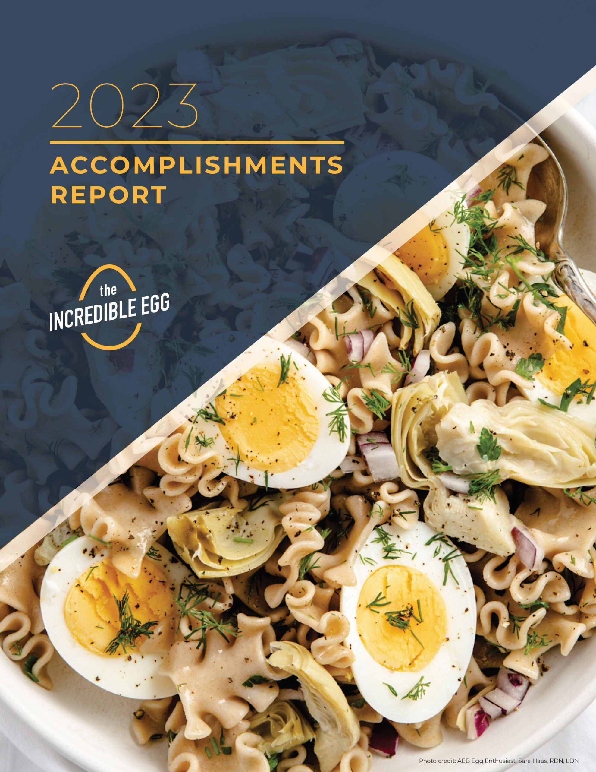 2023 Accomplishments Report cover