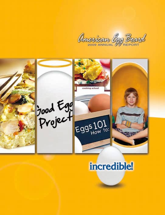Cover of 2009 Annual Report