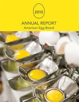 Cover of 2015 Annual Report