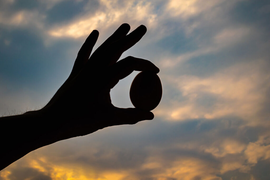 a hand holding an egg silhouetted against the sky