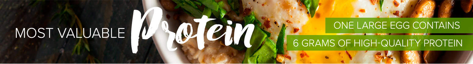 Most valuable protein. One large egg contains 6 grams of high quality protein.