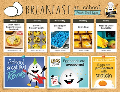 Fresh Shell Eggs PDF cover