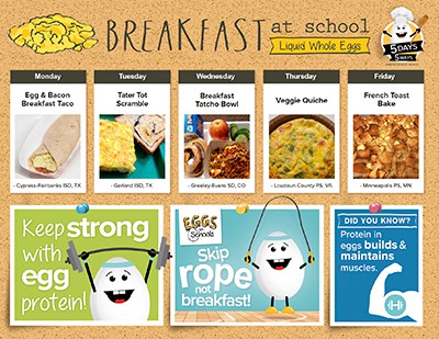 Liquid Whole Eggs PDF cover