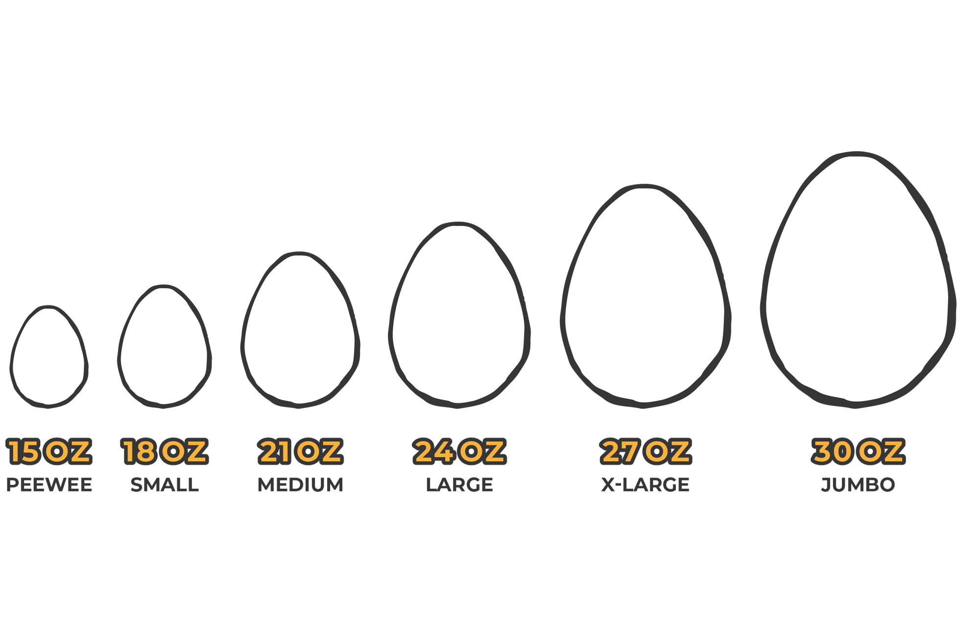 illustration of egg sizes